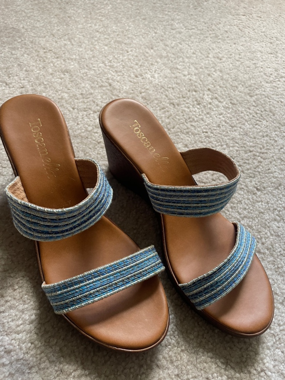 Blue Striped Wedge Sandals - Double Strap